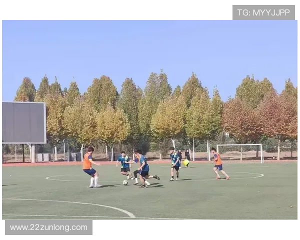 南宫体育文化节：展示地方特色与体育精神